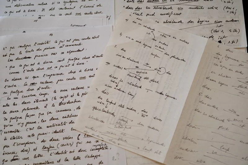 Manuscrit_de_Franz_Kaltenbeck_1998_conference_sur_Reinhardt_Priessnitz