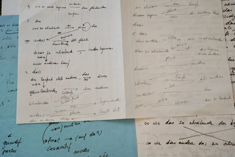 Manuscrit_de_Franz_Kaltenbeck_1998_conference_sur_Reinhardt_Priessnitz_2